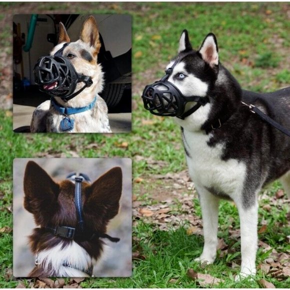 Dog Muzzle Basket Anti Barking And Chewing Dog Mouth Cover Breathable XL / 5 - Picture 8 of 14